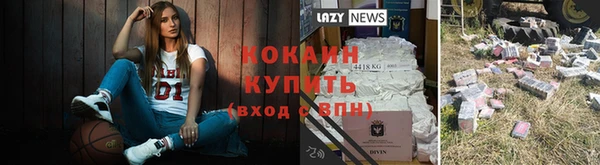 бошки Абинск