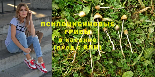 бошки Абинск